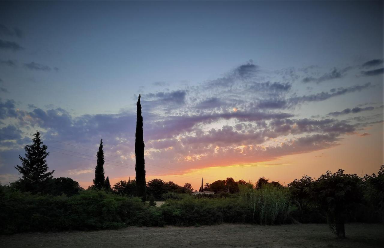 La Maison Du Chemin Des Prairies Morieres-les-Avignon Екстериор снимка